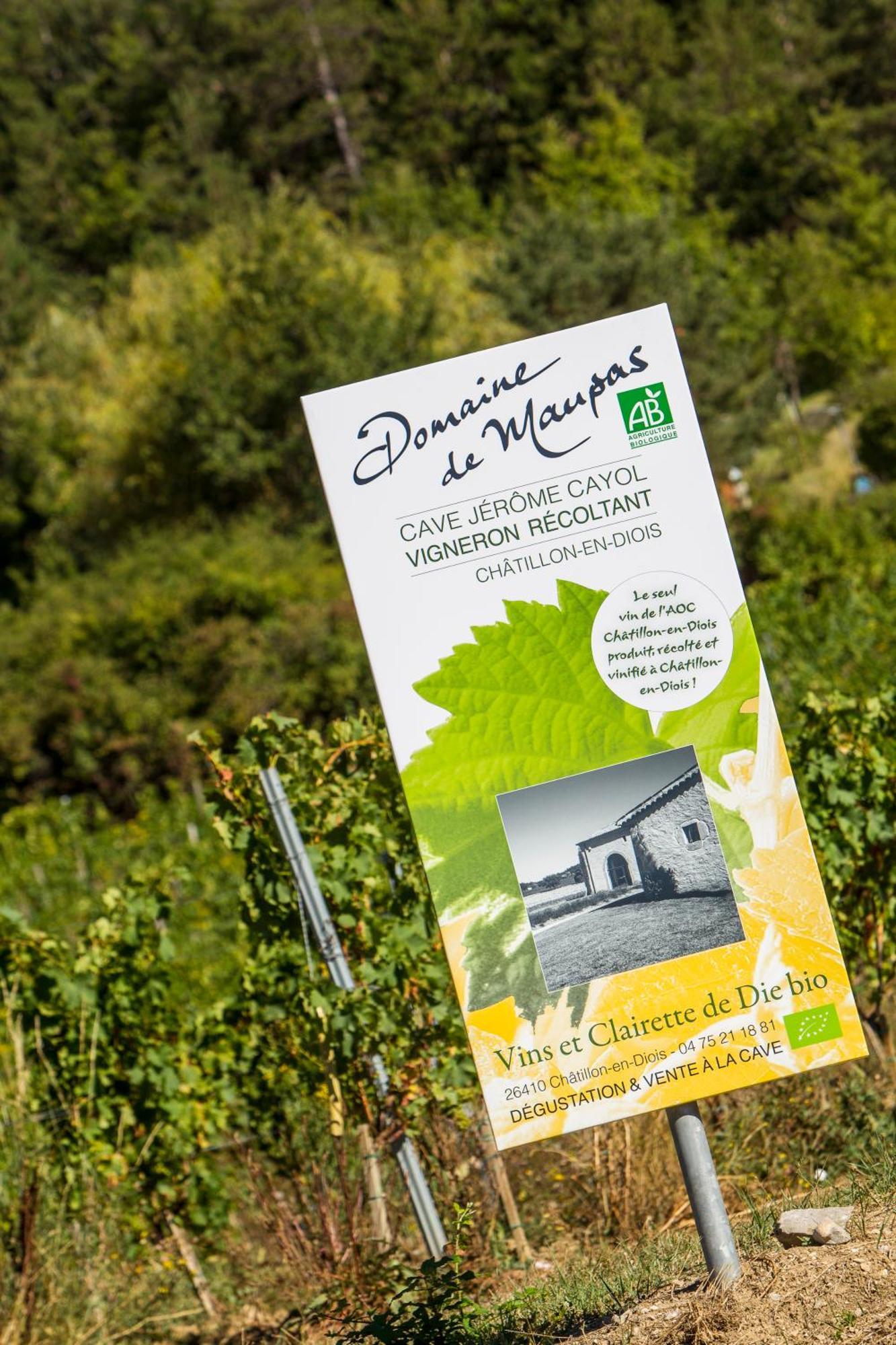 Hotel Le Dauphine Châtillon-en-Diois Exteriér fotografie