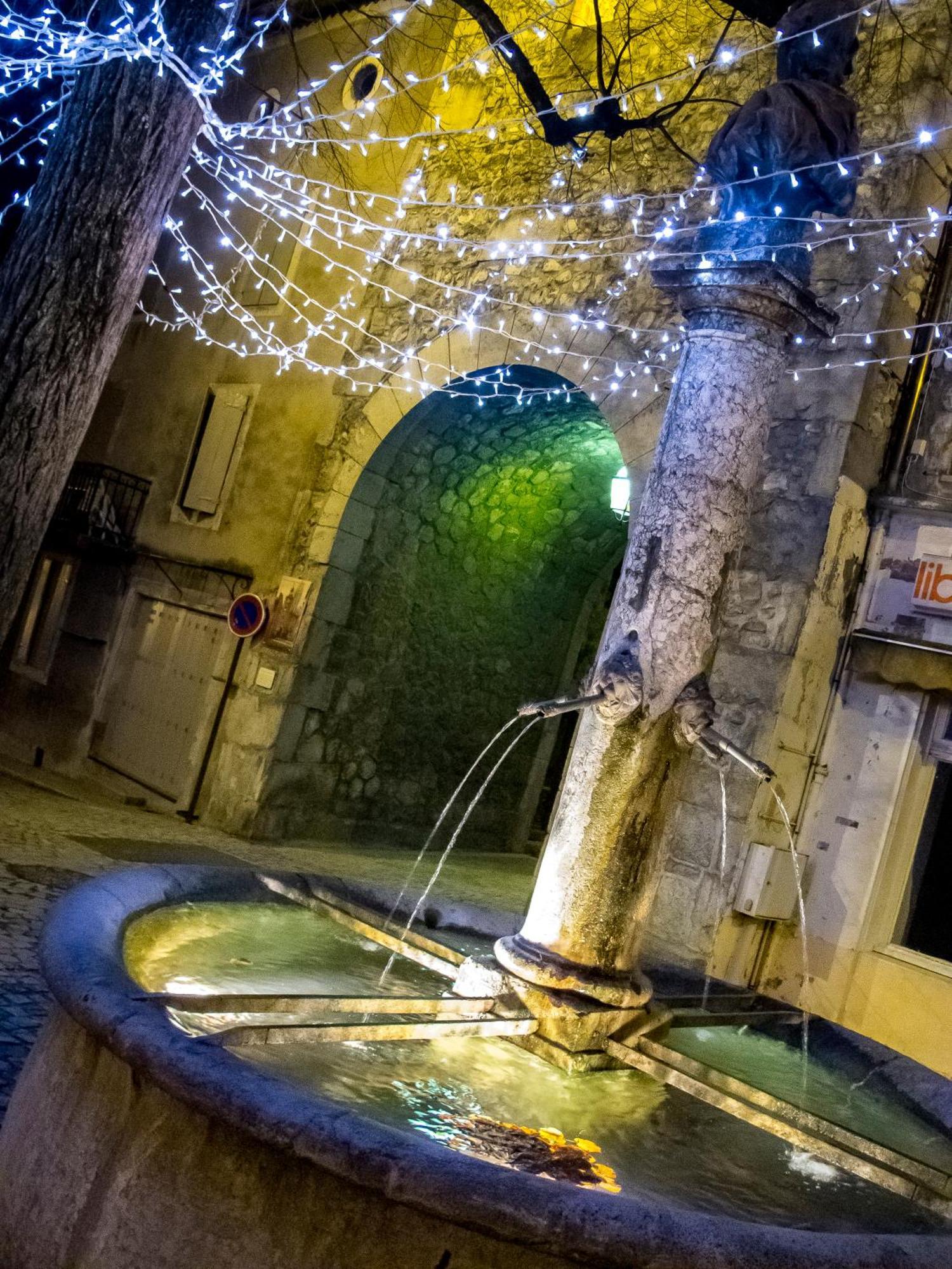 Hotel Le Dauphine Châtillon-en-Diois Exteriér fotografie